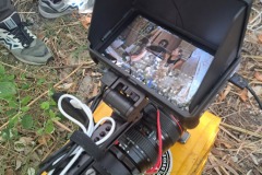 20240617_201912 20240617_201912