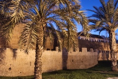 IMG_20231114_184324 IMG_20231114_184324