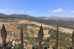 IMG_20240615_131209 IMG_20240615_131209