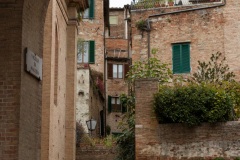 sienna