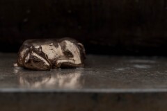 MF21_Beate-Melanna-Jirgena_Reportaza_-2025.11.13.-10