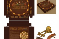 VR41_E.Petrauska_PL2_Tvaika-cels_2023 VR41_E.Petrauska_PL2_Tvaika-cels_2023