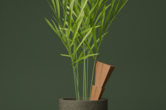 RMMT_23-24_KVD_DT41_AMILINA_STEPANOVICA_VIZ_02