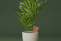 RMMT_23-24_KVD_DT41_AMILINA_STEPANOVICA_VIZ_04